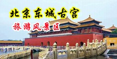亚洲久操中国北京-东城古宫旅游风景区